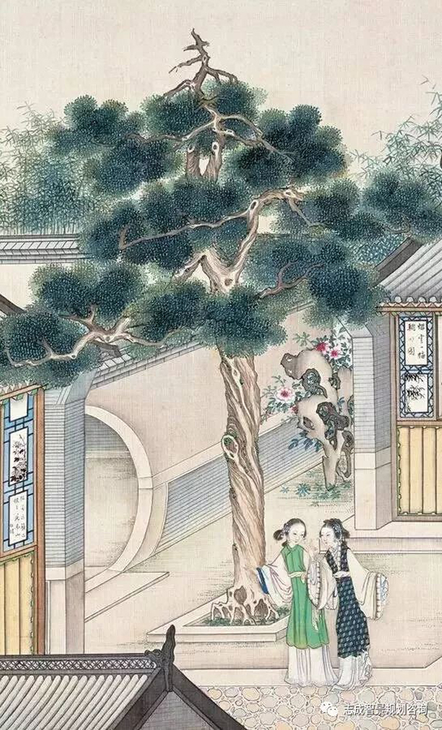 1629272991339280.jpg 3.jpg