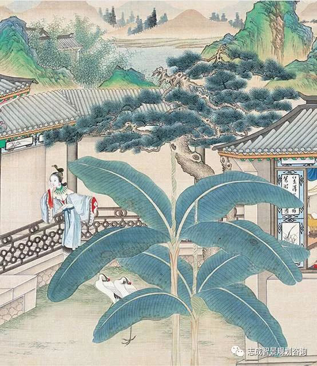 1629273000519089.jpg 4.jpg