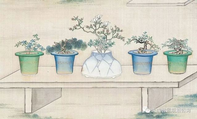 1629273055540887.jpg 8.jpg