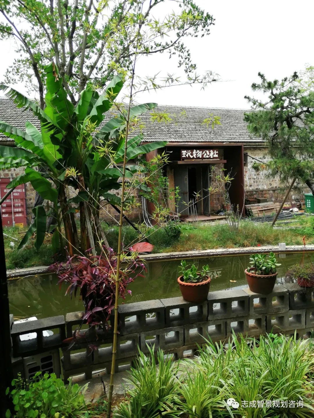 1636361499732541.jpg 640.webp (5).jpg