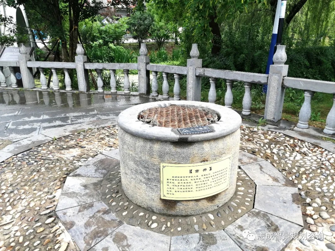 1636363286645611.jpg 640.webp (11).jpg