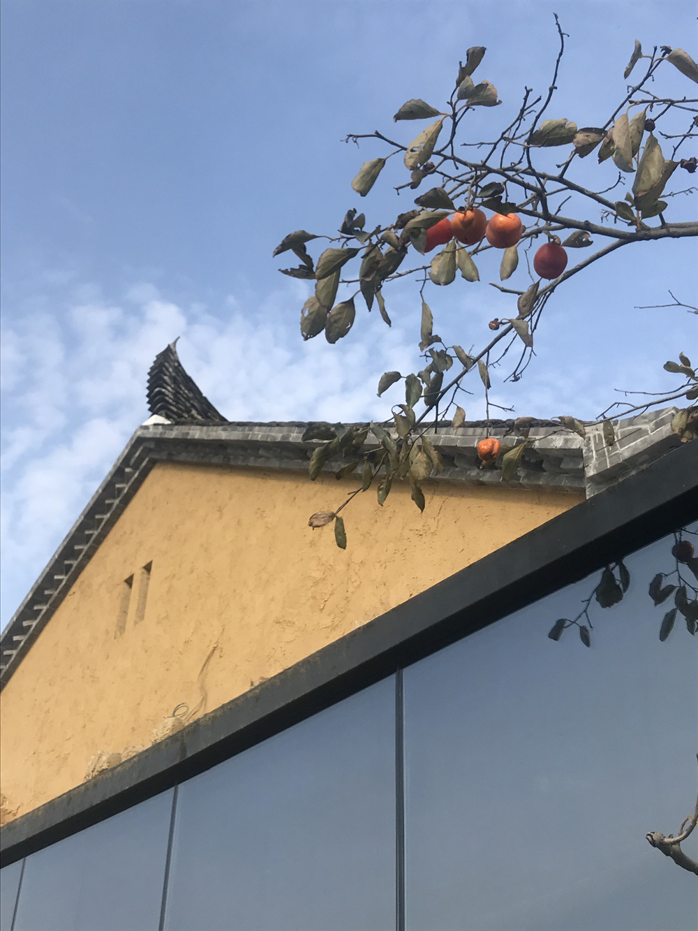 1642401720135821.jpg 002 (10).JPG