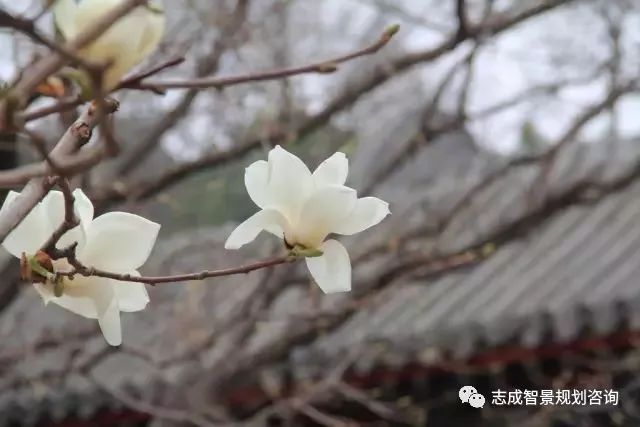 1655950090779937.jpg 640.jpg