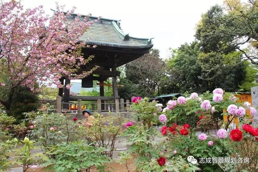 1655950382851510.jpg 640.jpg