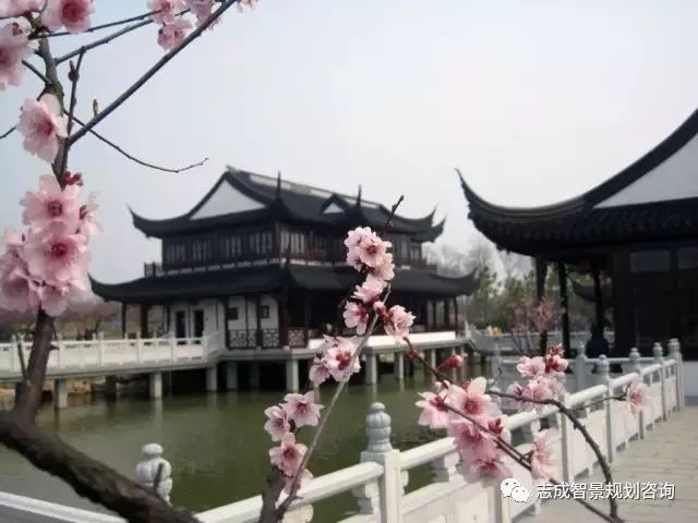 1655950560124291.jpg 640.jpg