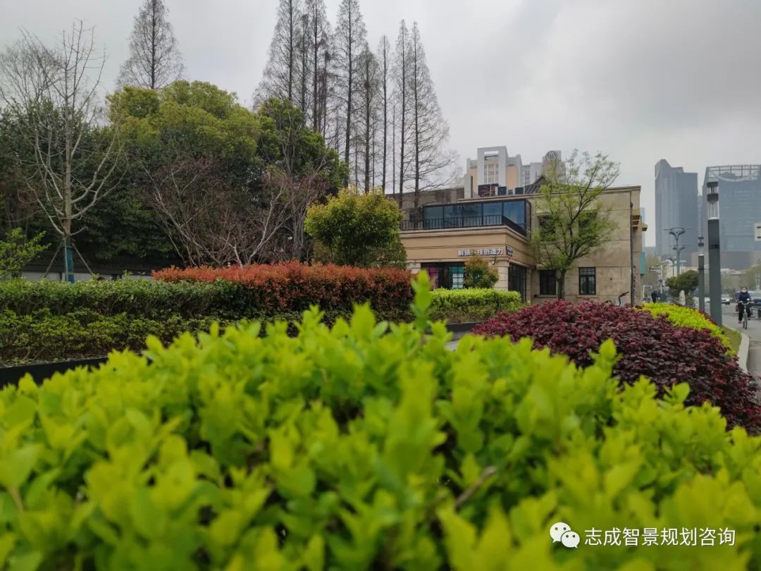 1661242180843595.jpg 640 (7).jpg