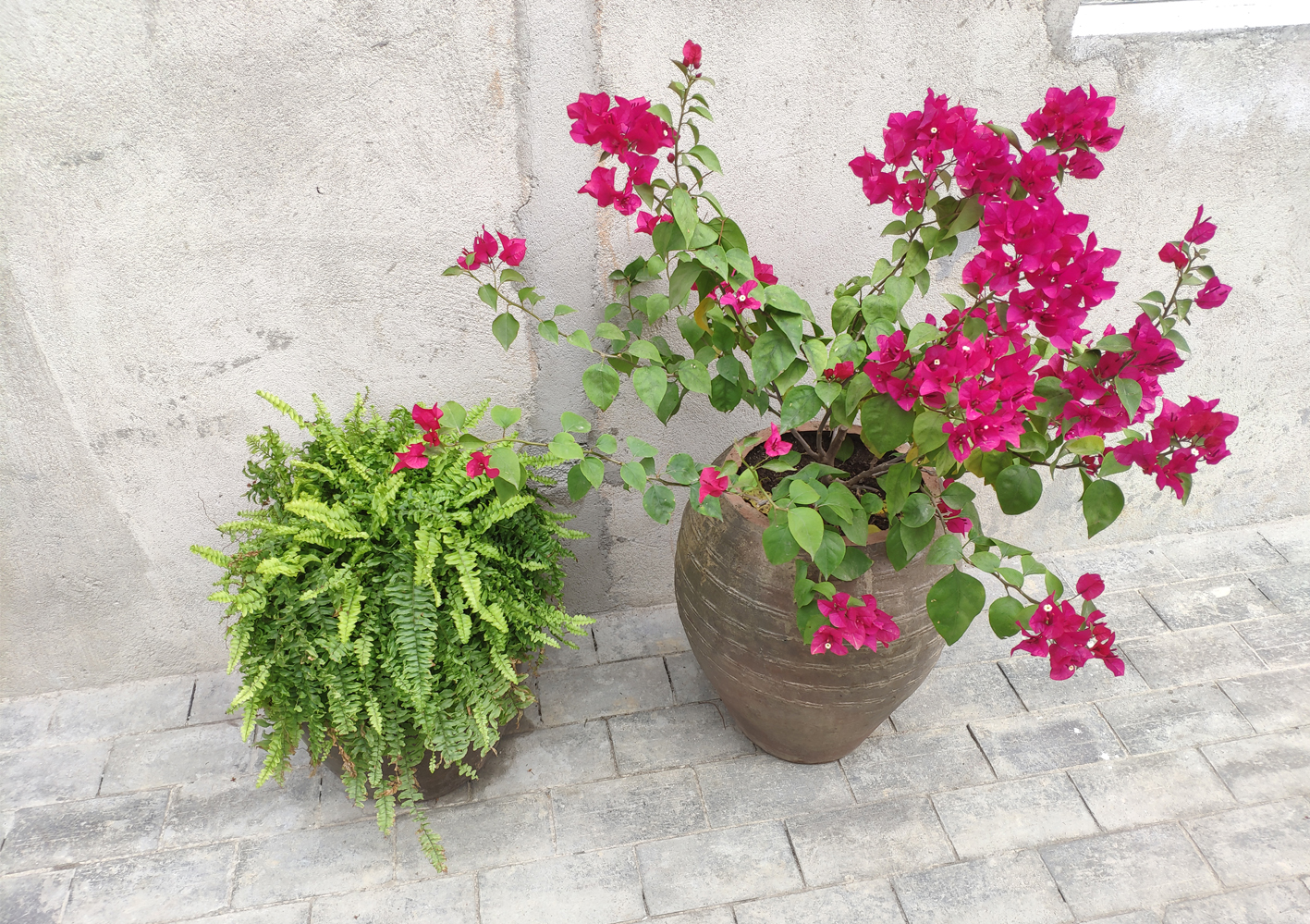 1676338375371521.jpg 10.jpg