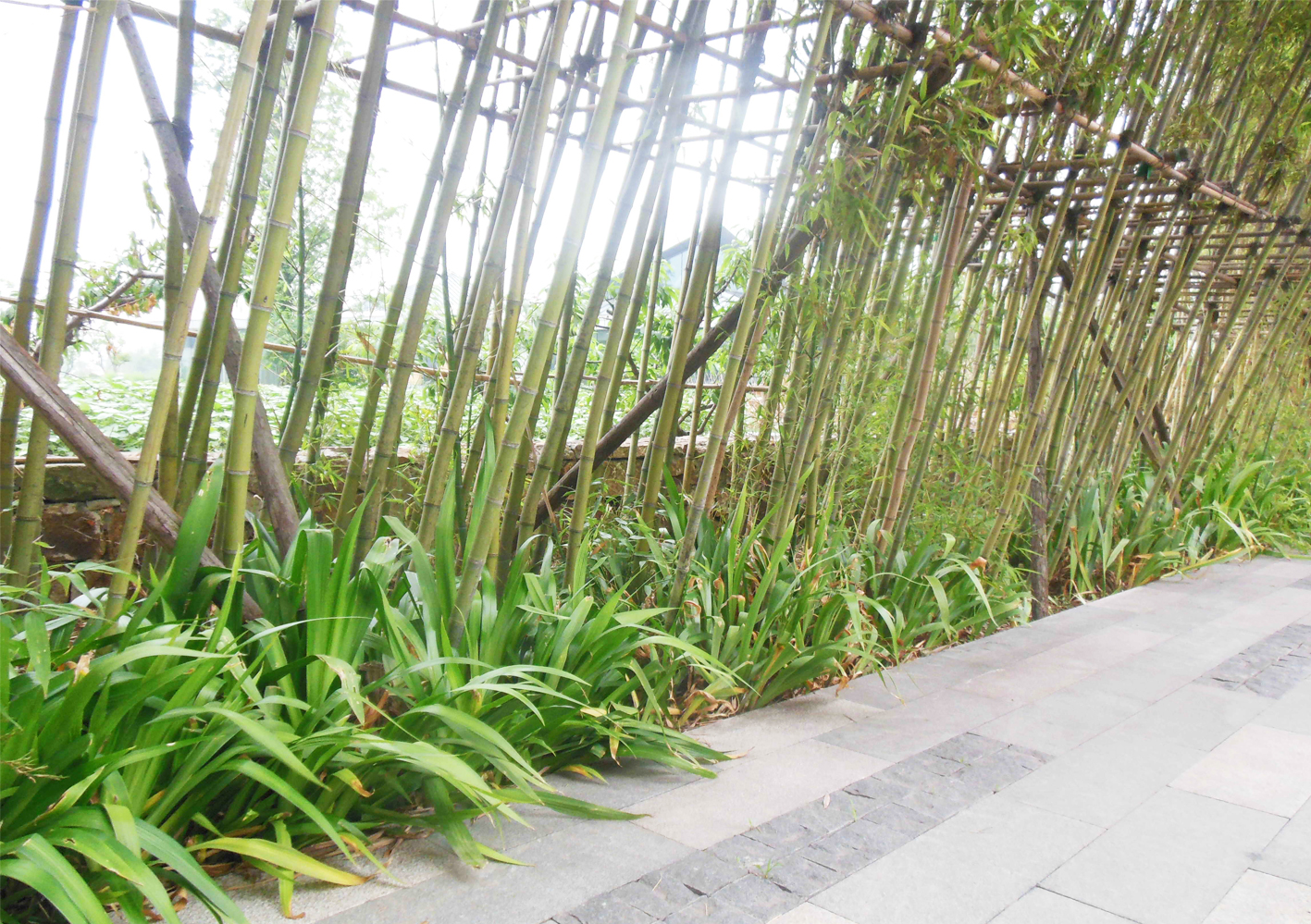 1676338950233824.jpg 12.jpg