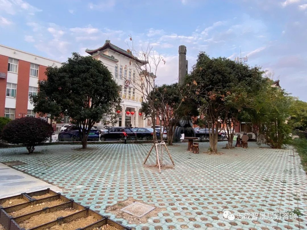 1681697375555852.jpg 640 (9).jpg