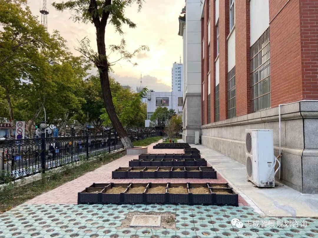 1681697393694426.jpg 640 (10).jpg