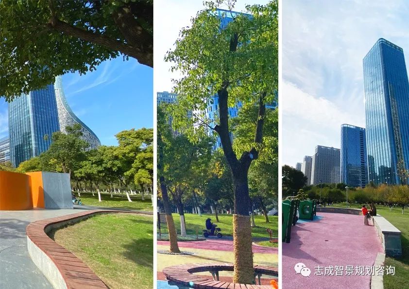 1681716499464845.jpg 640 (25).jpg